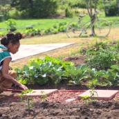 A woman, surrounded by various plants, works outdoors in a garden. 