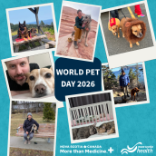 Photo collage of pets.