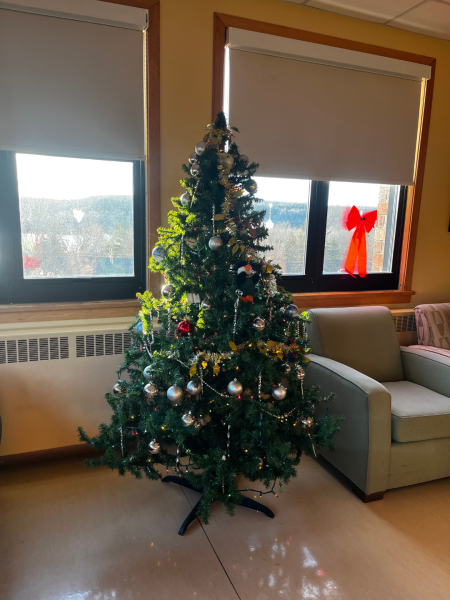 Patient sitting area decorated with a tree for the holidays and a red ribbon in the window.