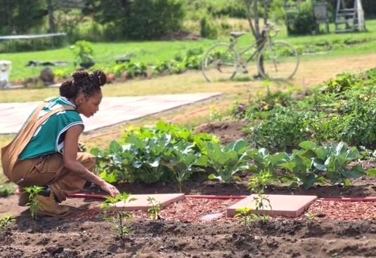 A woman, surrounded by various plants, works outdoors in a garden. 