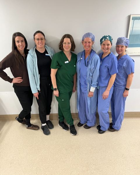 Featured 6 healthcare workers (women). 