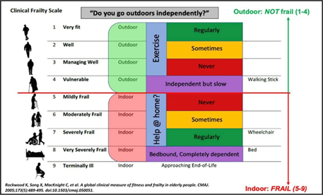 Clinical frailty scale