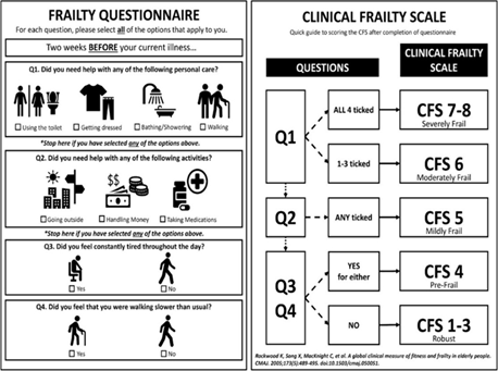 Frailty questionnaire.