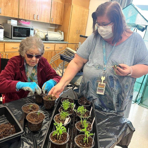 In an indoor setting, two women work together in a planting activity. One woman, wearing a red cardigan and gloves, is using scissors to tend to plants in small pots. The other woman, who is wearing a mask and has long hair, is assisting by handling the plants. There are several pots with soil and seedlings on a table covered with a black cloth. Kitchen cabinets can be seen in the background. 