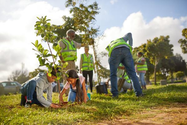 Children planting a tree 