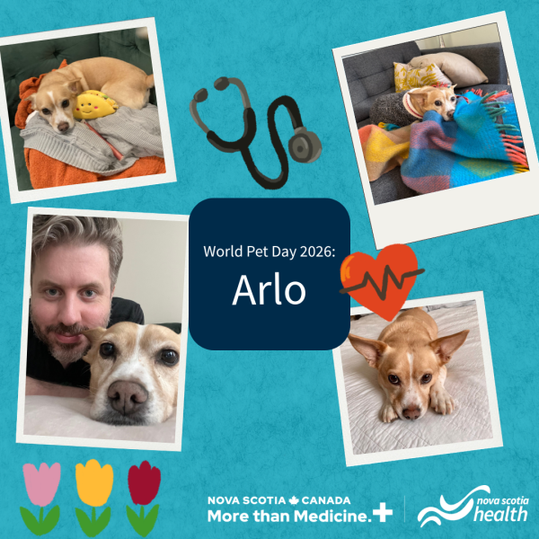 A photo collage of dogs.