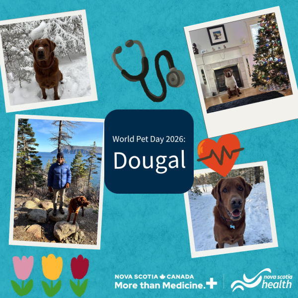 A photo collage of dogs.