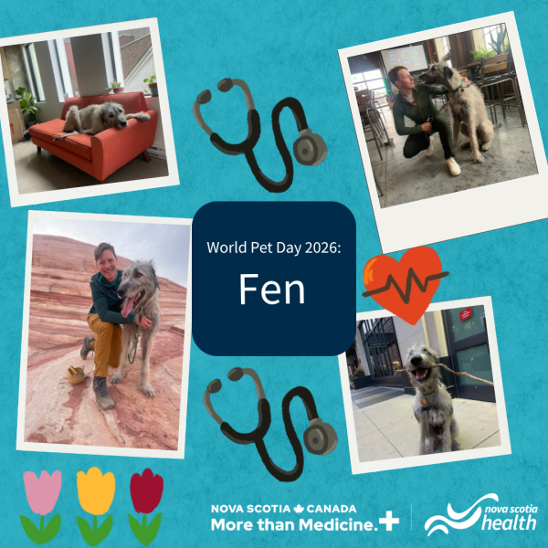 A photo collage of dogs.